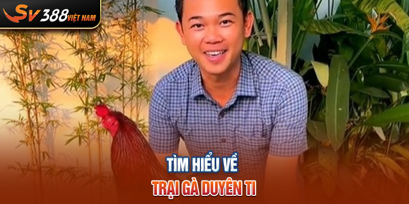 Tìm hiểu về trại gà Duyên Ti