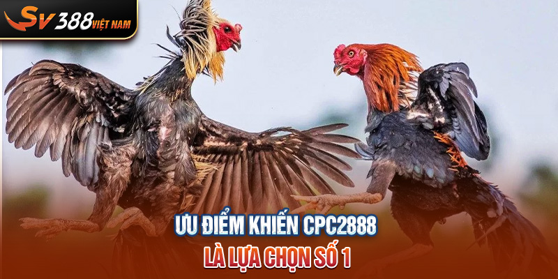 Ưu điểm khiến CPC2888 là lựa chọn số 1